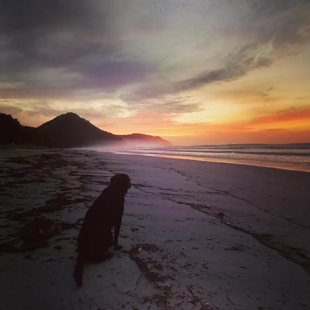 Praia De Itamambuca- Casa Charmosa E Iluminada Убатуба Екстериор снимка
